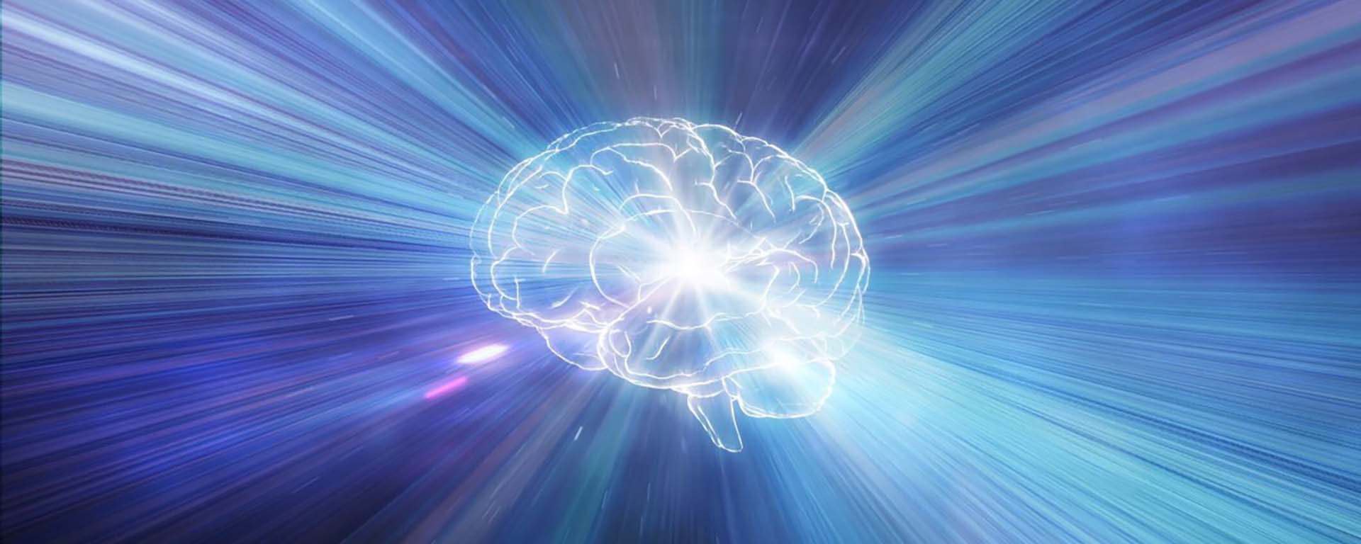 
  CGI brain image - Yuichiro Chino/Getty Images
