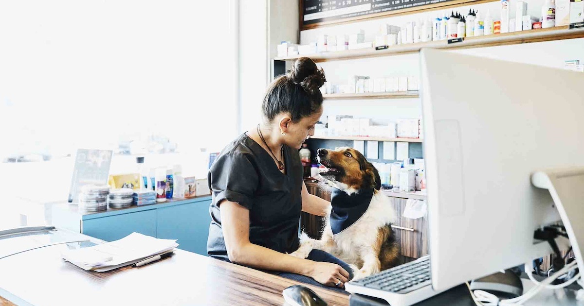 
  Pharmacist with a dog
