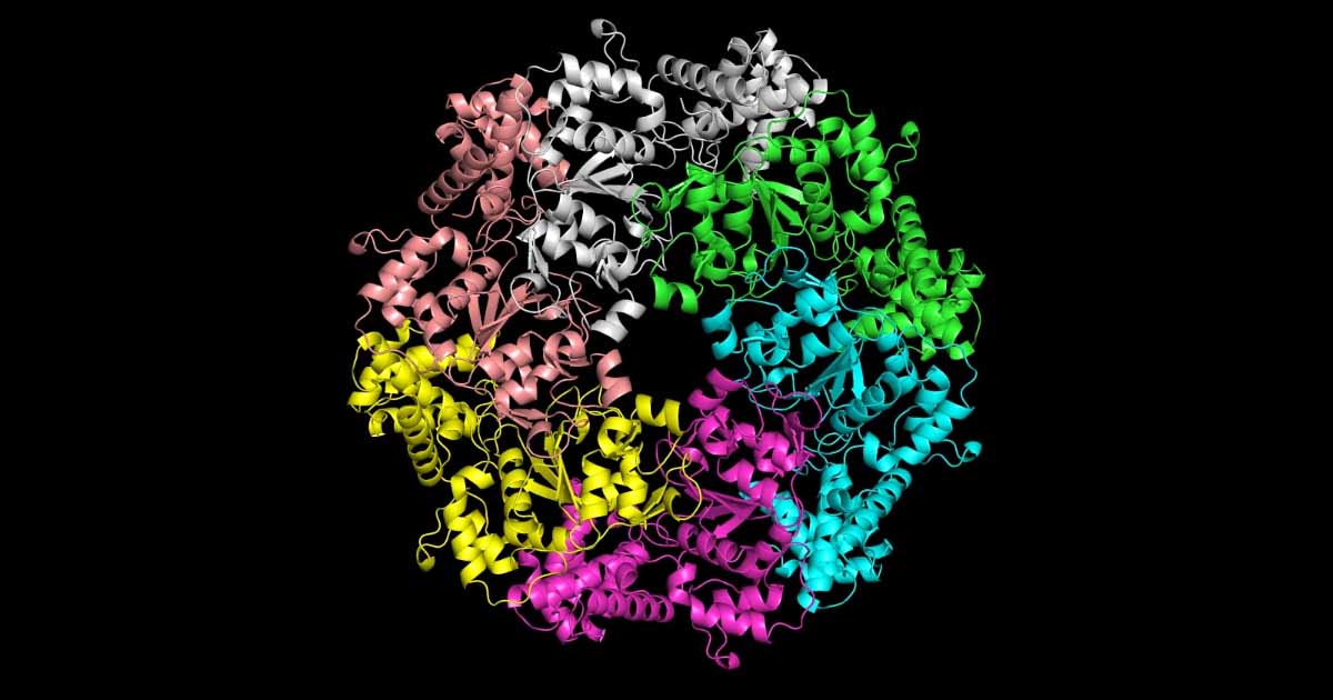 
  Seq2Symm proteins
