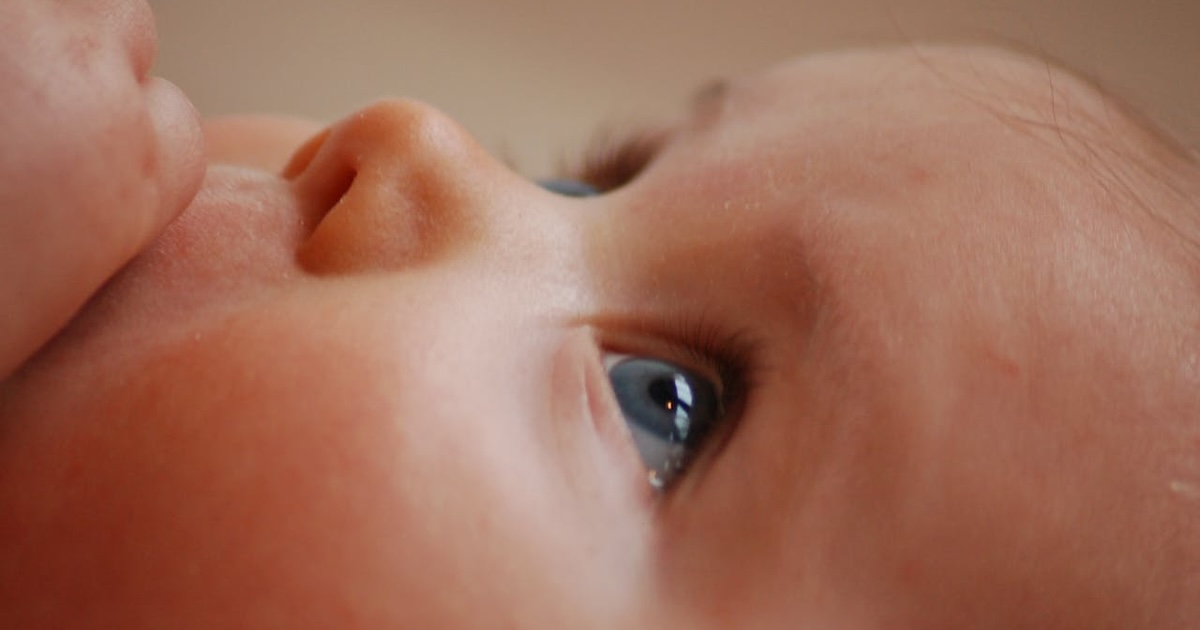 
  A baby's eyes

