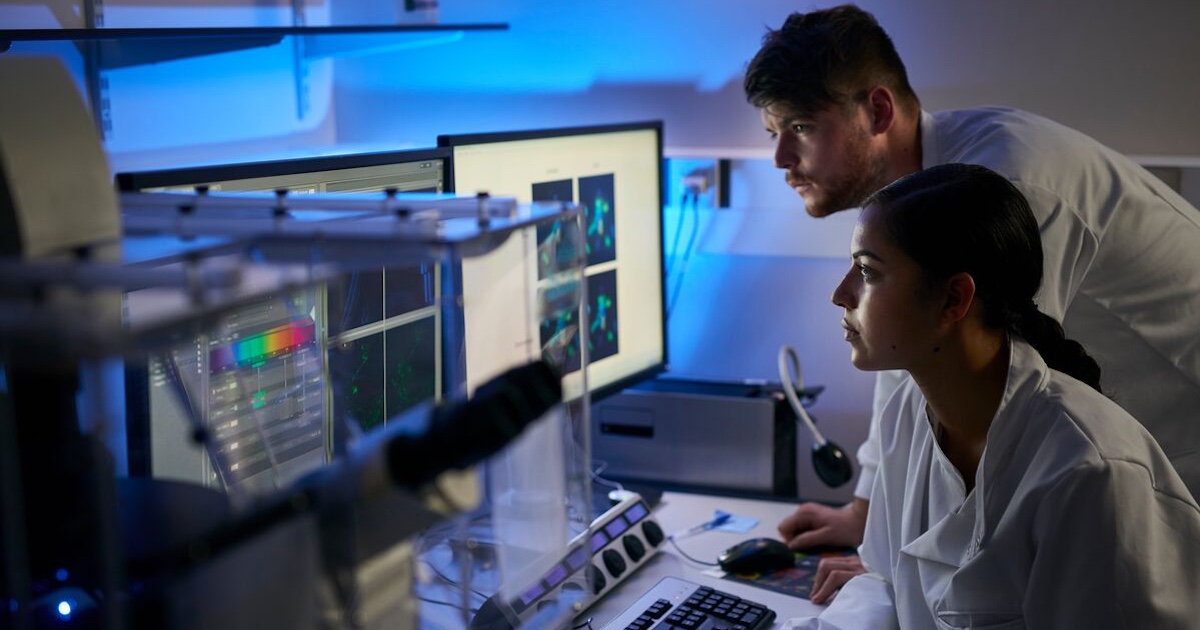 
  Man and woman looking at a computer with a diagnostic image on the screen
