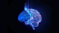 Digital simulation of a brain firing