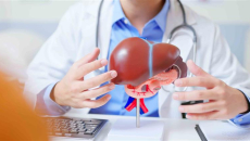 Doctor with a liver model
