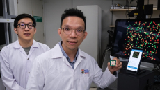 NTU Singapore scientists develop AI microRNA sensing biochip