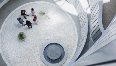 Executives consulting