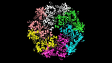 Seq2Symm proteins