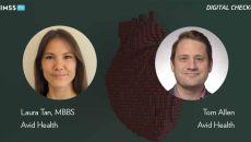 Tom Allen and Laura Tan at Avid Health_Pixelated human heart model Photo by Vertigo3d/iStock/Getty Images Plus