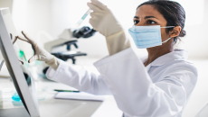 Scientist working in the laboratory