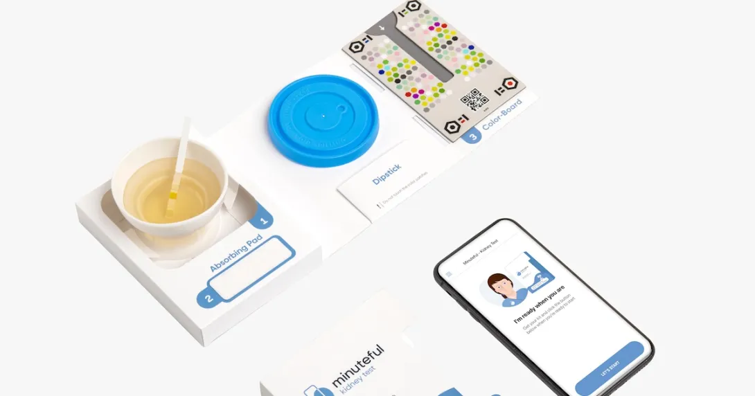 The Minuteful Kidney test