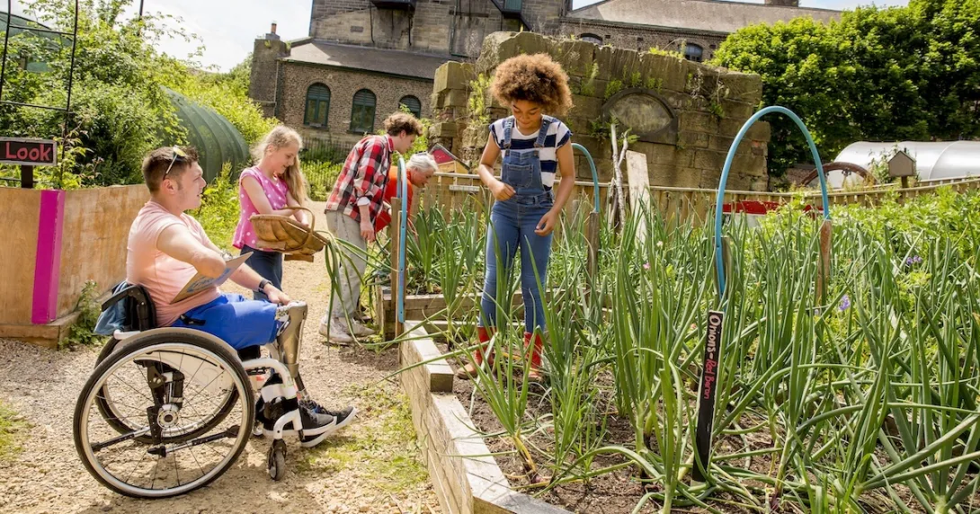 Community farm
Comnunity farm