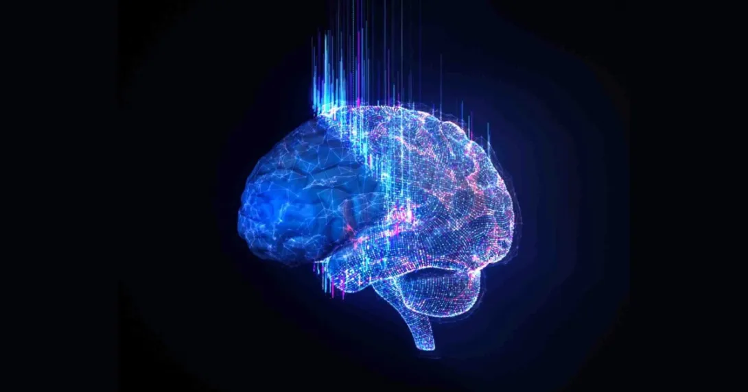 Digital simulation of a brain firing