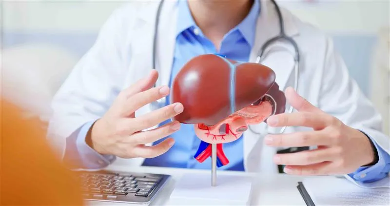 Doctor with a liver model