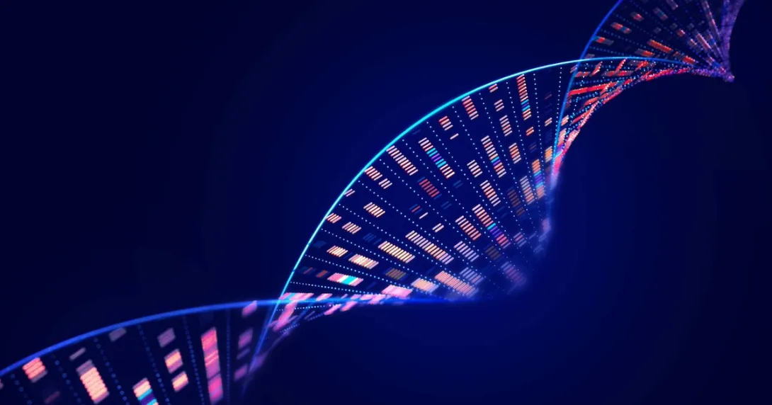 Human genome analysis DNA molecular structure