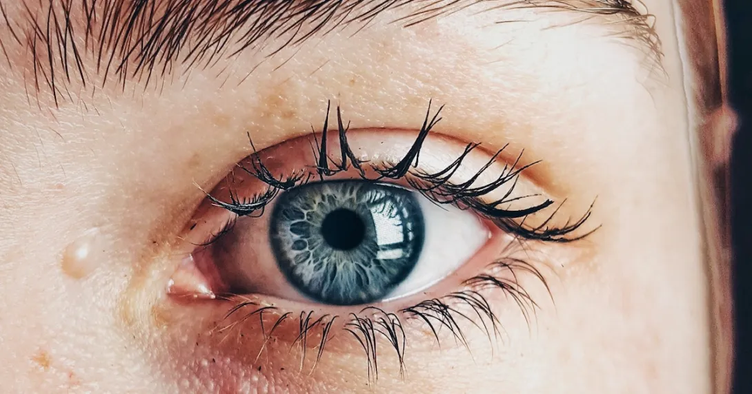 Eyes
