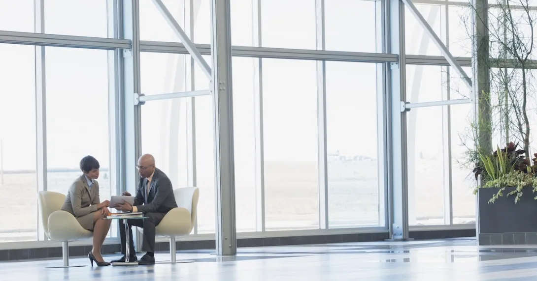 Two executives in a conference