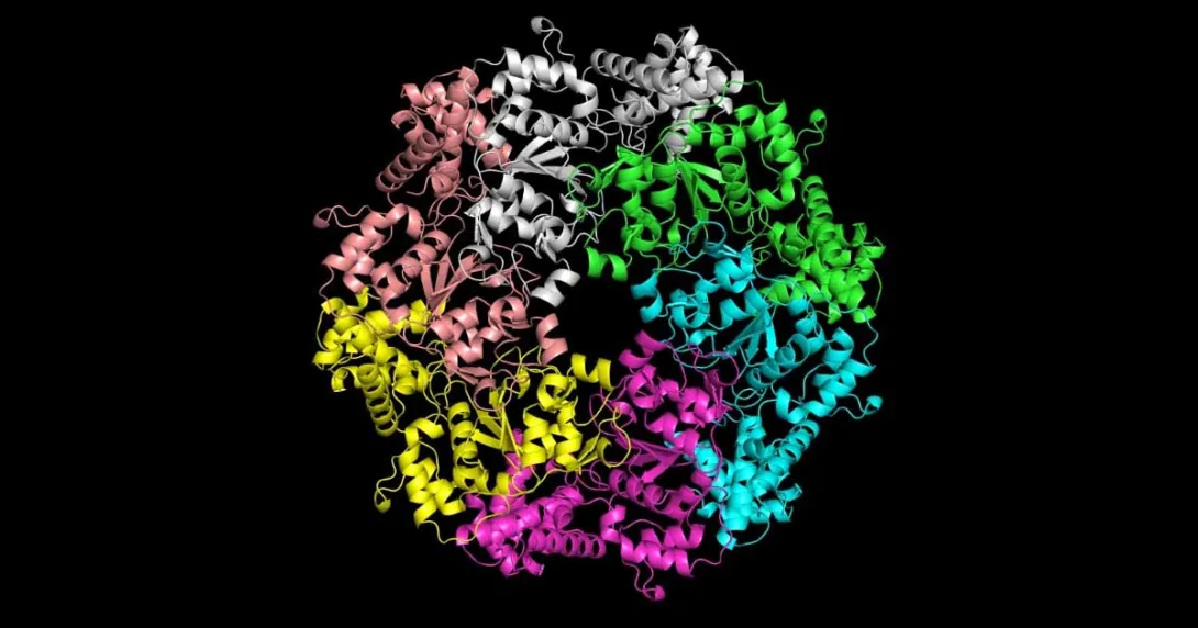 Seq2Symm proteins