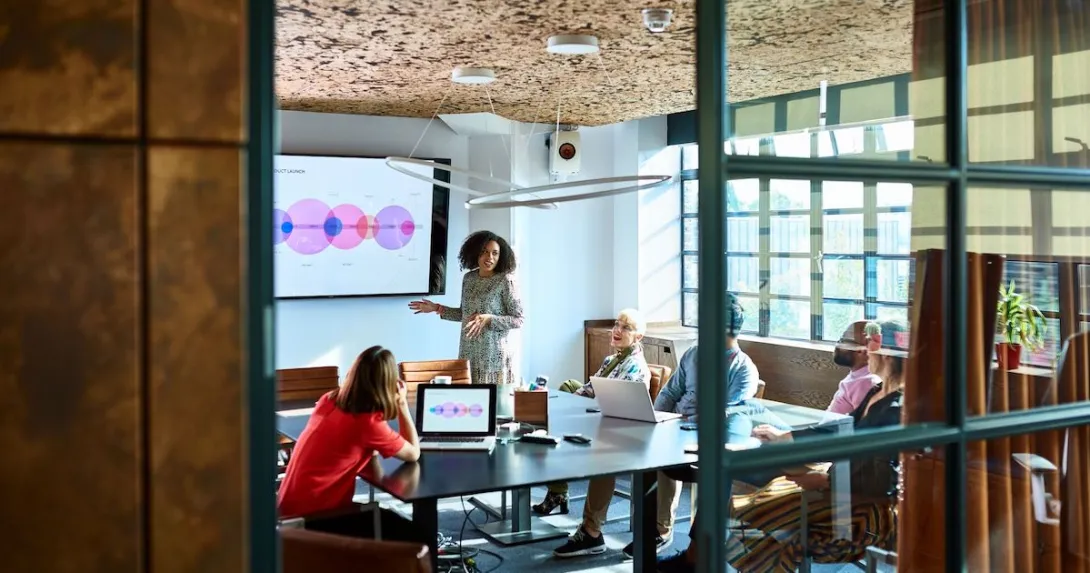 A person giving a presentation to colleagues.